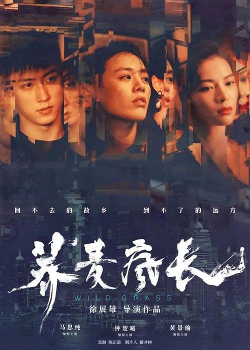 购买假厄瓜多尔签证